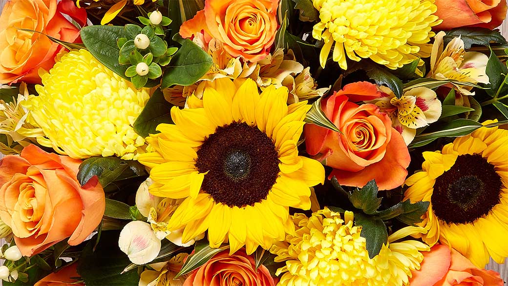 Serenata Flowers Student Discounts, Offers & Vouchers TOTUM UK