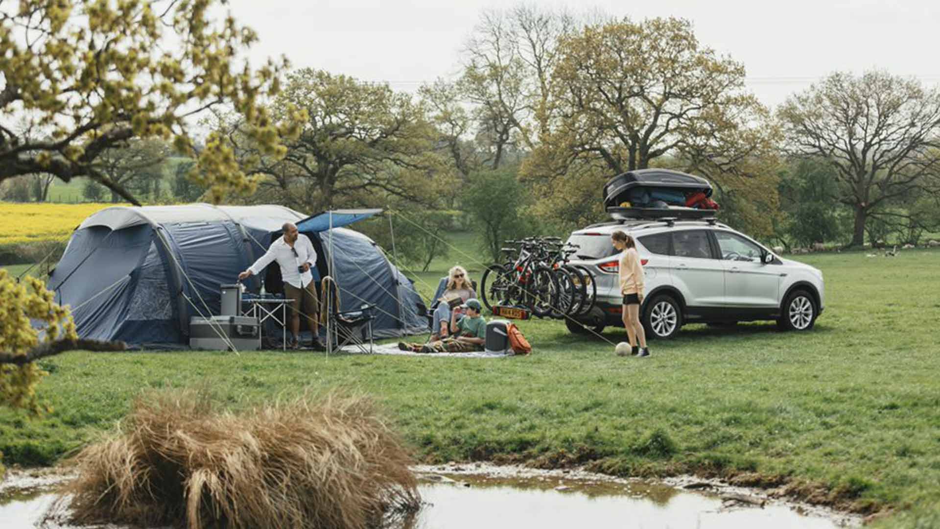 manitou mastodon pro