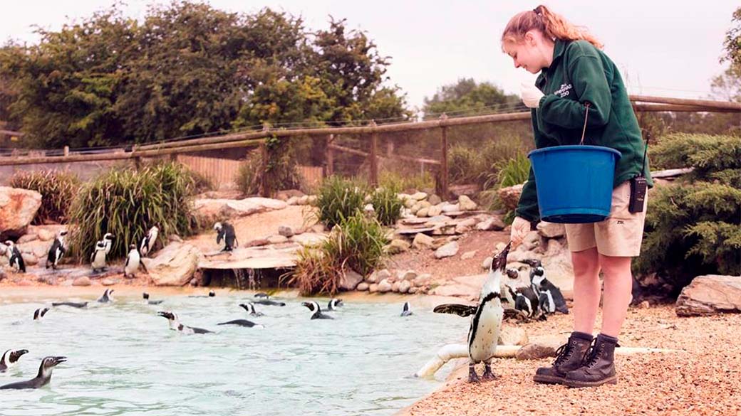 ZSL Whipsnade Zoo Student Discounts, Offers & Vouchers TOTUM UK