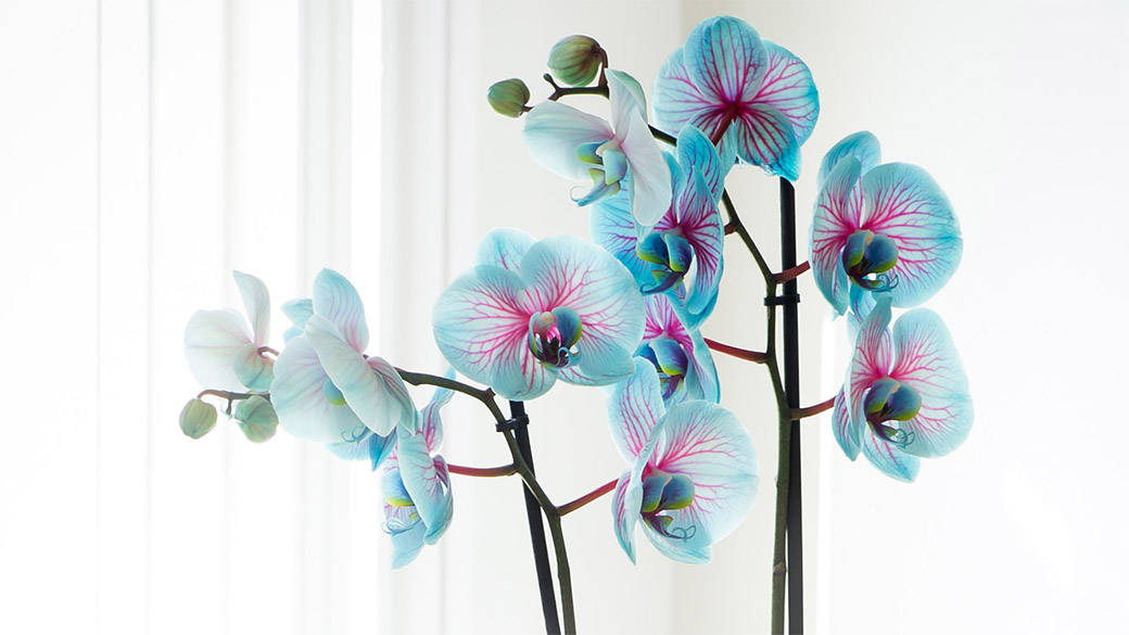 clarks discount student