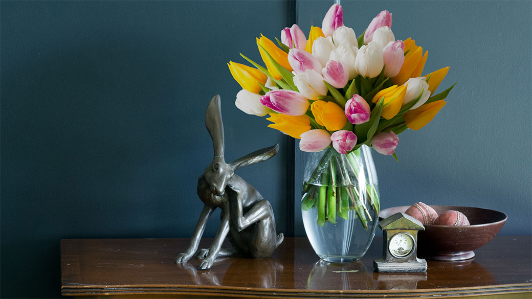 clarks discount student